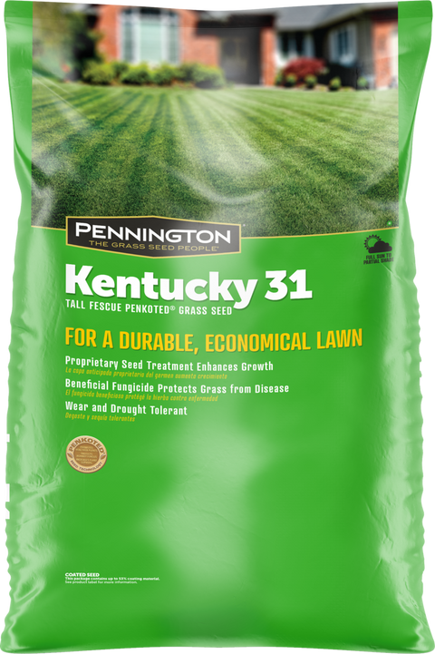 Pennington Kentucky 31 Series 100516056 Grass Seed, 50 lb Bag