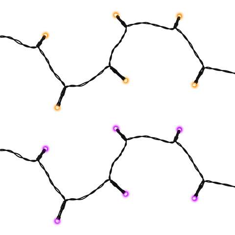 Celebrations Halloween Orange/Purple 50 ct 1 in. LED Prelit Light String String Lights, Pack of 12