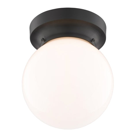 Boston Harbor OG24005 Ceiling Light, 1-Lamp, Matte Black Fixture