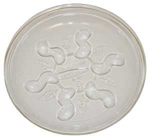 Gardener's Blue Ribbon Saucer Plus SP12 Plant Saucer, 12 in Dia, Plastic, Clear, Pack of 24