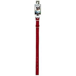 Boss Pet PDQ 2971601 Dog Collar, 16 in L Collar, 3/4 in W Collar, Nylon, Red