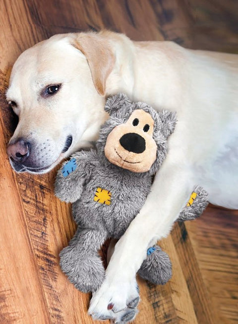 Kong Wild Knots NKR3 Dog Toy, S/M, Bear, Assorted