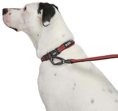 Guardian Gear ZA0006 16 83 Dog Collar, O-Ring Link, 16 to 83 in L Collar, Nylon, True Red