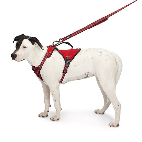 Guardian Gear ZA0031 16 83 Reflective Harness, 18 to 30 in, Fastening Method: O-Ring Strap, Nylon Harness, True Red