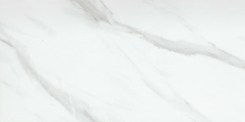 Emser Tile Nobleza Series F19NOBLAS1224 Porcelain Tile, 24 in L Tile, 12 in W Tile, Rectified Edge, Rectangular Pattern