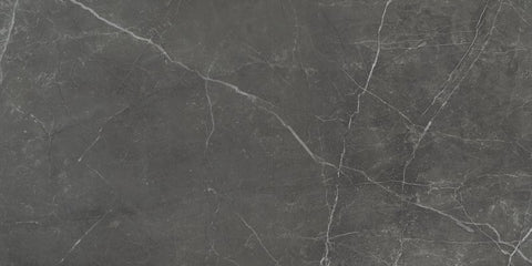 Emser Tile Sterlina II Series F20STERAS1224 Porcelain Tile, 24 in L Tile, 12 in W Tile, Rectified Edge, Asphalt