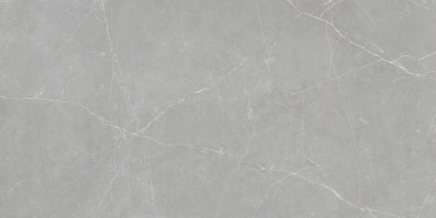 Emser Tile Sterlina II Series F20STERGR1224 Porcelain Tile, 24 in L Tile, 12 in W Tile, Rectified Edge, Gray