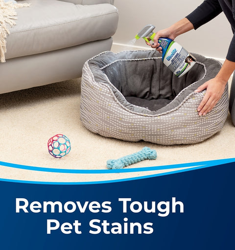 Woolite 11521 Pet Stain and Odor Remover, Liquid, Characteristic, 22 oz