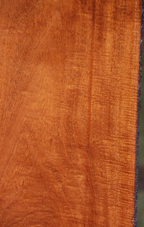1 In. Net x 3 In. Mahogany Honduran