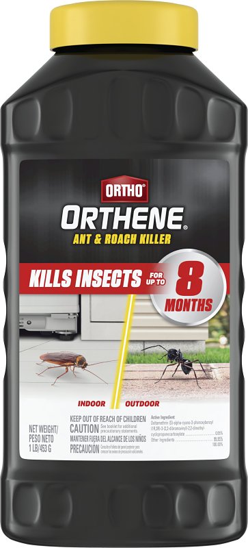 Ortho Orthene 4612705 Ant and Roach Killer, Indoor, Outdoor, 16 oz