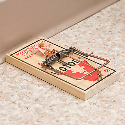 Victor Small Snap Animal Trap For Rats