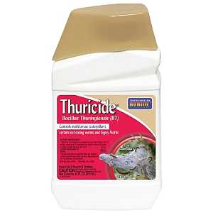 Bonide Thuricide (BT 803 Thuricide Bacillus Thuringiensis, Liquid, 1 pt Bottle