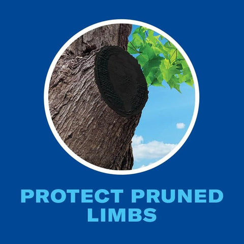 BioAdvanced 820045B Tree and Shrub Pruning Seal, Liquid, 13 oz Aerosol Can