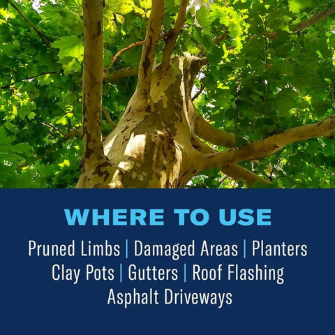 BioAdvanced 820045B Tree and Shrub Pruning Seal, Liquid, 13 oz Aerosol Can