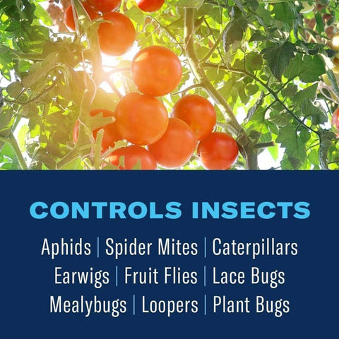 BioAdvanced 820164B Insect Killer Control, Liquid, Spray Application, Indoor, Outdoor, 32 oz Sprayer