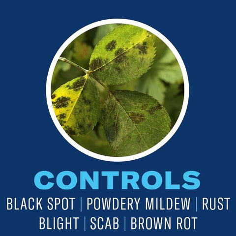 BioAdvanced 820164B Insect Killer Control, Liquid, Spray Application, Indoor, Outdoor, 32 oz Sprayer