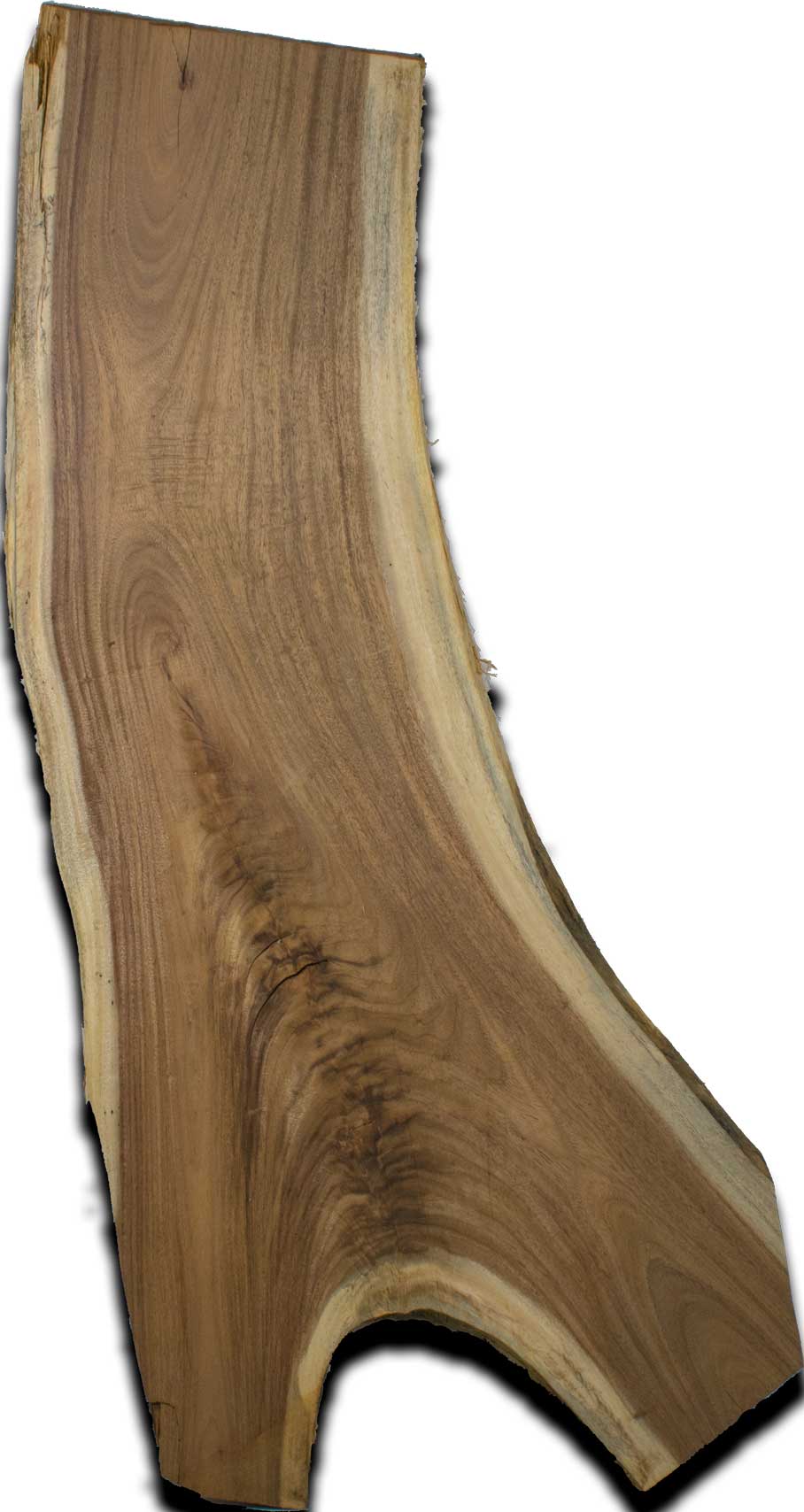 Albizia Live Edge Wood Slab 1.5 In. x 16 In. x 48 In. – Shell Lumber ...