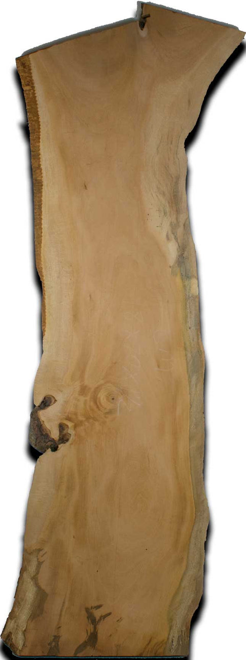 Cuban Mahogany Live Edge Wood Slab 1.5 In. x 18 In. x 70 In.