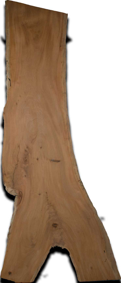 Cuban Mahogany Live Edge Wood Slab 2 In. x 18 In. x 63 In.