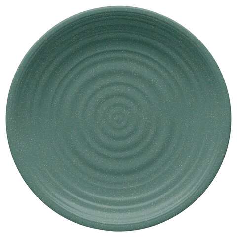 TarHong Green Bamboo/Fiber Artisan Dinner Plate 1 each
