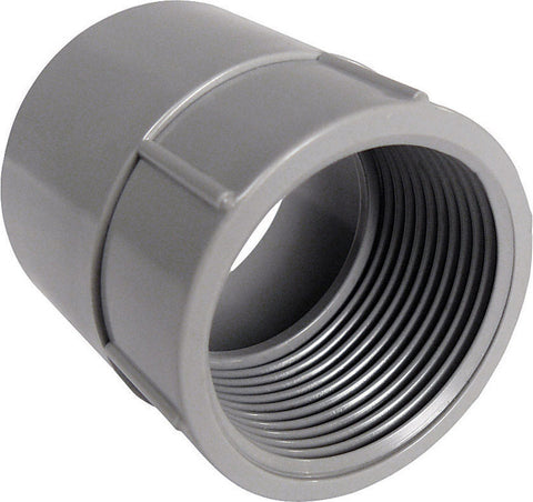 Cantex 1/2 in. Dia. PVC Female Adapter