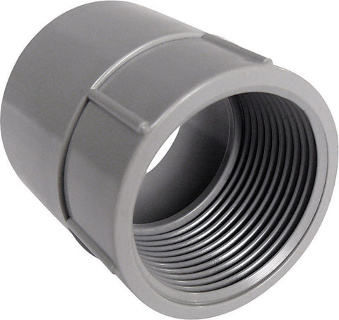 Cantex 3/4 in. Dia. PVC Female Adapter