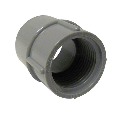 Cantex 1 in. Dia. PVC Female Adapter