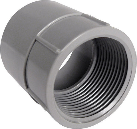 Cantex 1-1/2 in. Dia. PVC Female Adapter