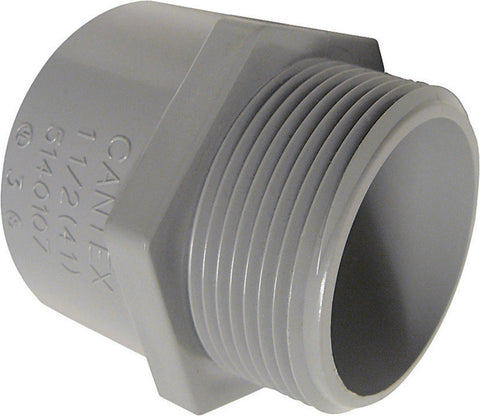 Cantex 1-1/4 in. Dia. PVC Male Adapter