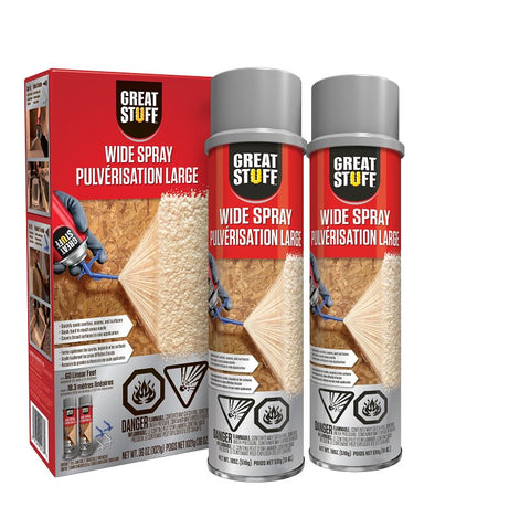 Great Stuff 12119299 Spray Foam Sealant Kit, 18 oz Can