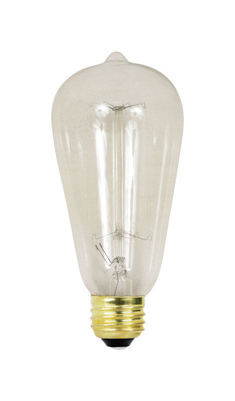 FEIT Electric The Original Incandescent Light Bulb 60 watts 305 lumens 2200 K Vintage Edison ST1