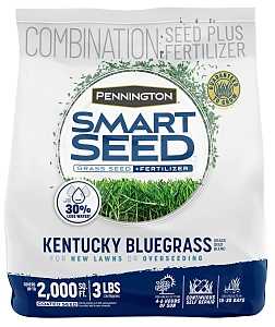 Pennington SMART SEED Kentucky Bluegrass Blend - Thumbnail 5