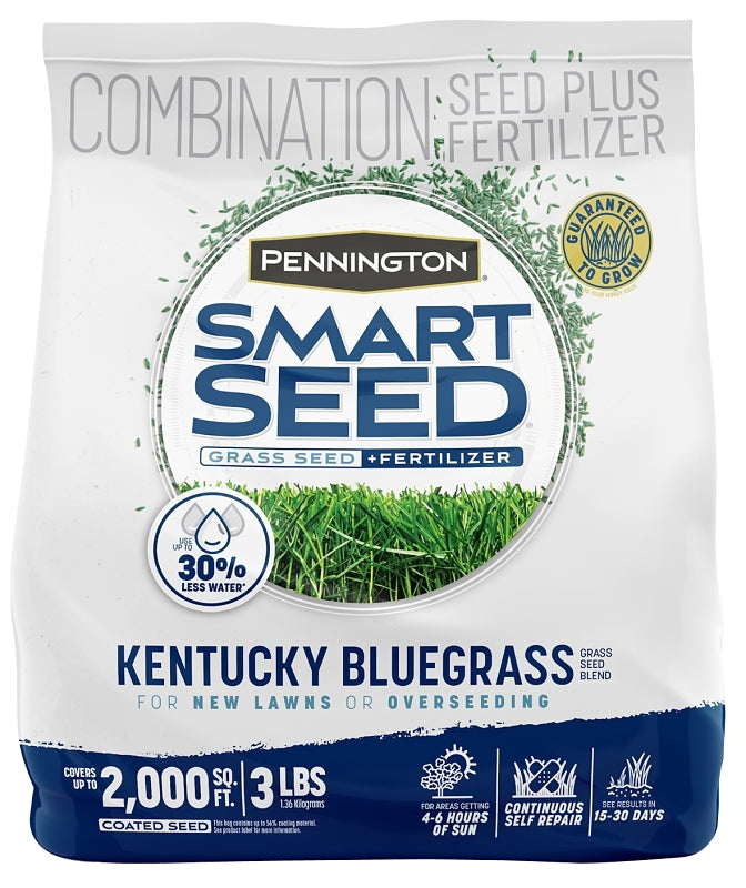 Pennington SMART SEED Kentucky Bluegrass Blend