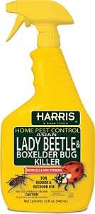 Harris HBXA-32 Beetle Killer, Liquid, Spray Application, 32 oz