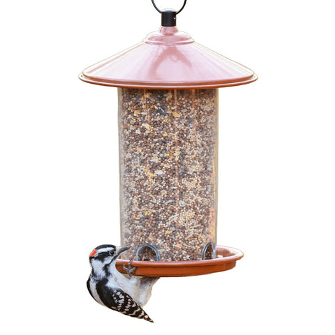 Audubon Park 15529 Blend with Millet and Sunflower Seed Wild Bird Food, 20 lb