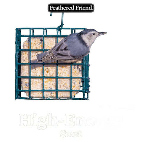 Feathered Friend 14380 Wild Bird Suet, Cake