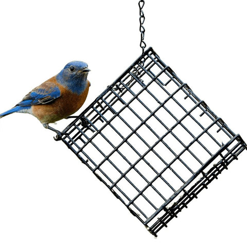 Audubon Park 12331 Suet Basket, Grid, 4 oz, Metal, Green, 5-3/4 in H