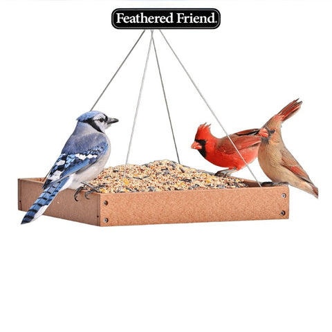 Feathered Friend Favorite 14389 Sunflower Seed Wild Bird Food, 20 lb, All-Purpose, Blended, Seed, Bag