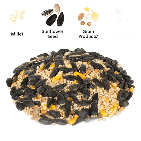 Feathered Friend Birdsnack Series 14391 Sunflower Seed Birdsnack, 20 lb Bag