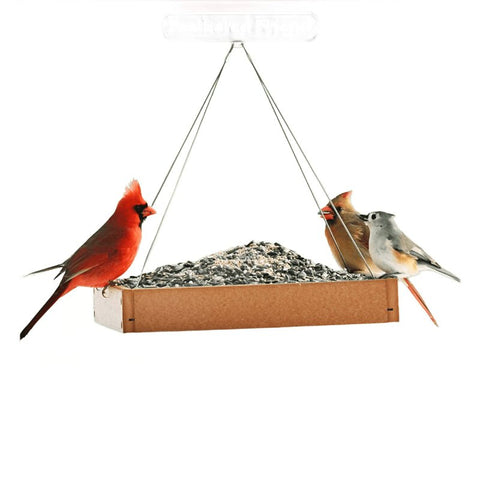 Feathered Friend Flyers' Choice 14399 Safflower Seed Wild Bird Food, 16 lb, Premium, Blended, Bag