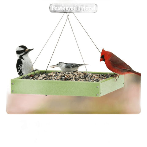 Feathered Friend 14392 Safflower Seed Fruit and Nut Wild Bird Food, 4 lb, Premium, Blended, Bag