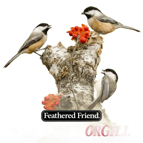 Feathered Friend 14393 Safflower Seed Fruit and Nut Wild Bird Food, 16 lb, Premium, Blended, Bag