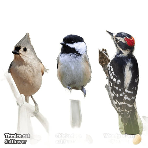 Feathered Friend Chickadee's Choice 14409 Safflower Seed Wild Bird Food, 4 lb, Blended, Bag