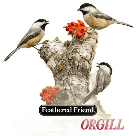 Feathered Friend Chickadee's Choice 14410 Safflower Seed Wild Bird Food, 16 lb, Blended, Bag