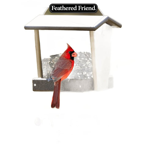 Feathered Friend Cardinals' Choice 14395 Safflower Seed Wild Bird Food, 16 lb, Premium, Blended, Seed, Bag