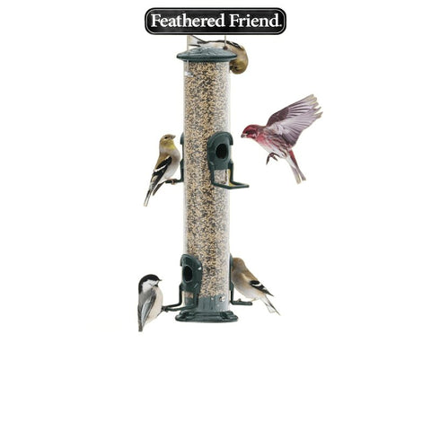 Feathered Friend Finch Delight 14396 Sunflower Kernel Wild Bird Food, 5 lb, Blended, Bag