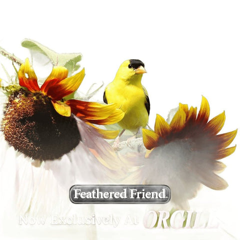 Feathered Friend Finch Delight 14412 Sunflower Kernel Wild Bird Food, 16 lb, Blended, Bag