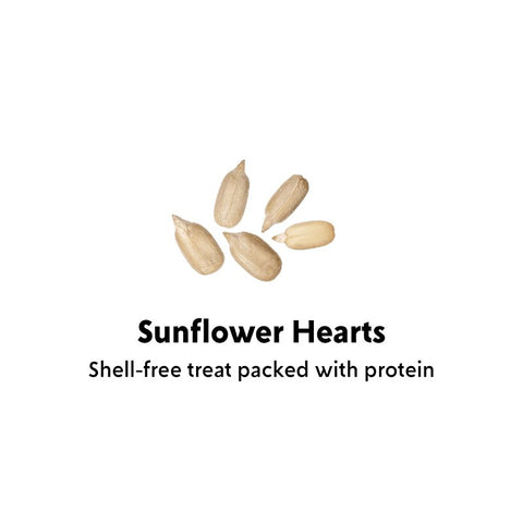 Feathered Friend 14414 Sunflower Hearts, 20 lb, Bag
