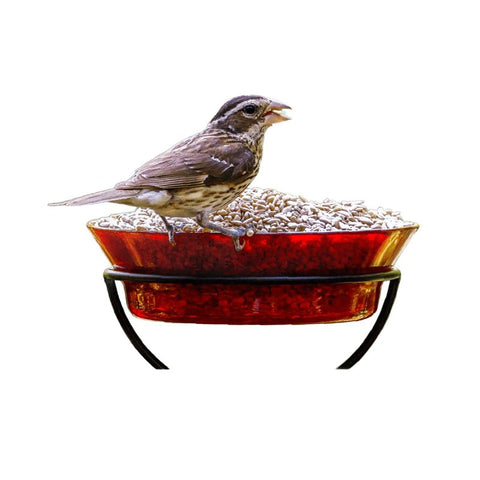Feathered Friend 14414 Sunflower Hearts, 20 lb, Bag