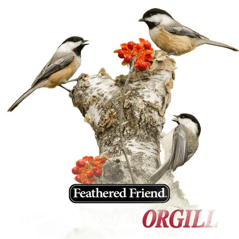 Feathered Friend 14414 Sunflower Hearts, 20 lb, Bag